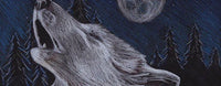 Le cri du loup : pourquoi les loups hurlent-ils ?