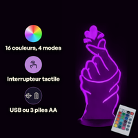 Caractéristiques lampe 3D LED Coeur La Main et son Cœur télécommande 16 couleurs USB ou piles